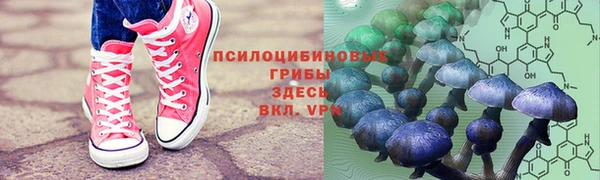 хмурый Алексеевка