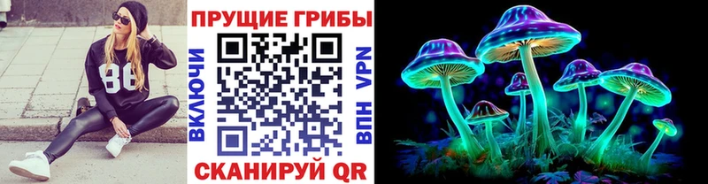 продажа наркотиков  Ессентукская  Псилоцибиновые грибы GOLDEN TEACHER 