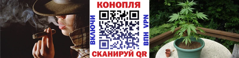 Марихуана ГИДРОПОН Ессентукская